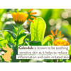 Babo Botanicals Moisturizing Baby Shampoo & Wash - Oatmilk & Calendula