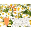 Chamomile flowers, chamomile ingredient graphic