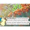 Sea buckthorn berries ingredient graphic