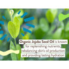Organic jojoba seed oil ingredient graphic