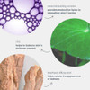 Stabilizing Repair Cream ingredients: ceramide-building complex, cica, boerhavia diffusa root