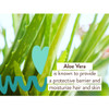 Aloe vera leaves ingredient graphic