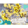 Witch hazel flowers ingredient graphic