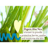 Aloe vera leaves, organic aloe vera ingredient graphic