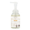 Babo Botanicals Sensitive Baby Fragrance-Free Foam Hand Soap