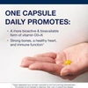 Softgel in an open palm beside one capsule daily text