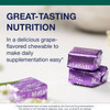 Wrapped MetaKids chews, great-tasting nutrition in a grape-flavored chewable graphic