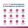 Grid of icons for perimenopause and menopause symptoms
