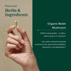 Hand holding a capsule, organic Reishi mushroom featured ingredient graphic