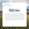 Gaia Herbs PRO Green Tea - 60 Capsules