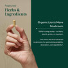Hand holding a capsule, featured organic Lion's Mane mushroom ingredient