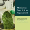 Worker pouring green herbs, meticulous from soil to supplement, ISO certified laboratory graphic