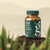 Turmeric Supreme Sinus Support bottle standing in soil with blurred green plants