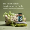 Black Seed Oil bottle on a mossy log, the finest herbal supplements on earth