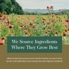Field of echinacea flowers, we source ingredients where they grow best