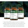 Gaia Herbs PRO Ginkgo - 60 Capsules