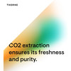 Thorne graphic noting CO2 extraction