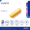 CoQ10 500 mg 0.905 in capsule with gluten-free, non-GMO, soy-free, dairy-free, vegetarian and vegan icons