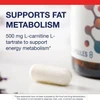 L-Carnitine capsule beside the bottle, 500 mg L-carnitine L-tartrate graphic