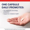 Hand holding one L-Carnitine capsule, one capsule daily graphic