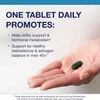 Hand holding a green Testralin tablet, one tablet daily graphic