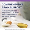 Assorted capsules and softgels, comprehensive brain support graphic