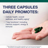 Hand holding green capsules with three capsules daily text
