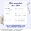 Chart of MegaMucosa ingredients: immunoglobulins, amino acids and citrus bioflavonoids