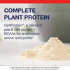 Pile of vanilla protein powder with plant protein text