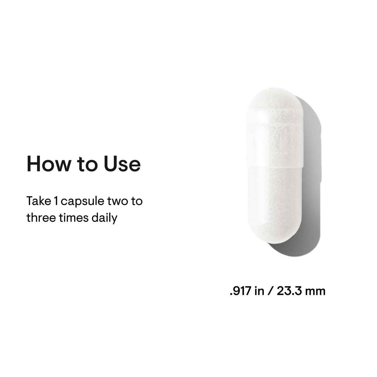 thorne l-carnitine Research | L-Carnitine Supplement Thorne Acetyl-L-Carnitine - 60 Capsules