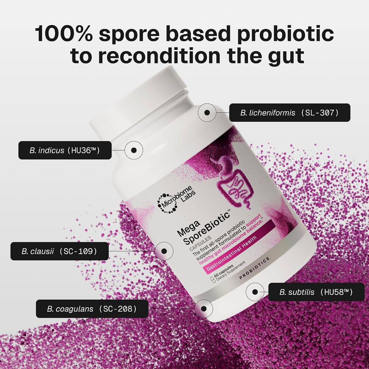 MegaSporeBiotic bottle with Bacillus strain labels, 100% spore based probiotic text