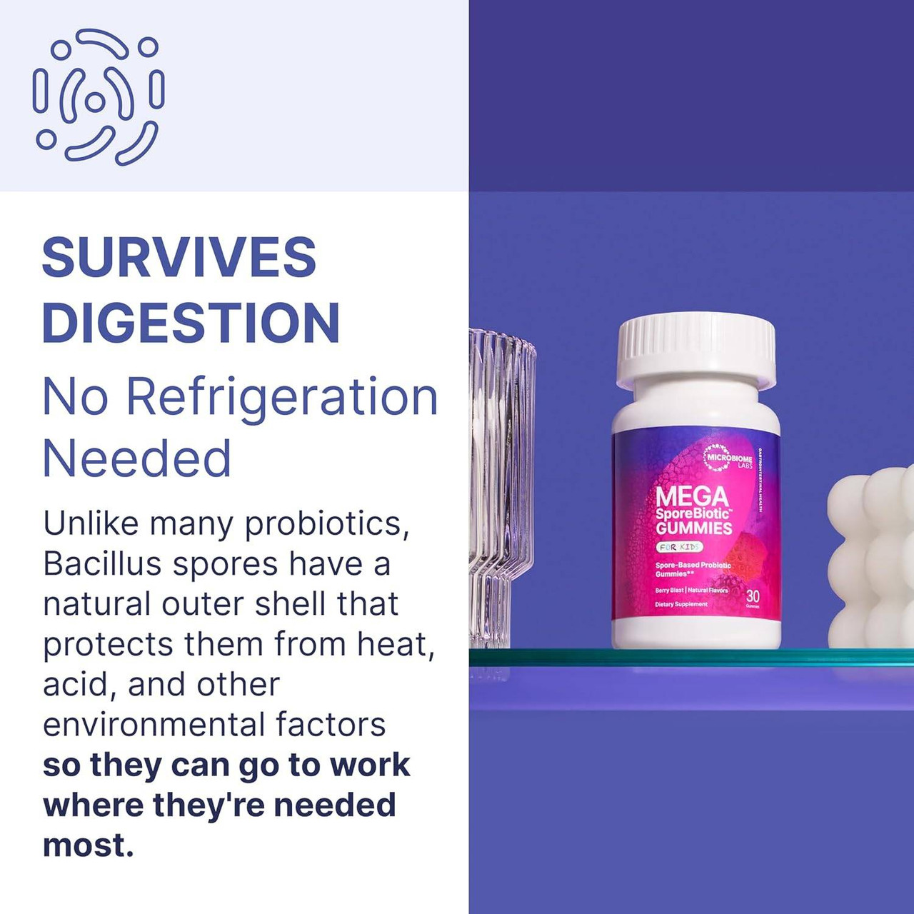 Microbiome Labs MegaSporeBiotic Gummies - 60 Gummies