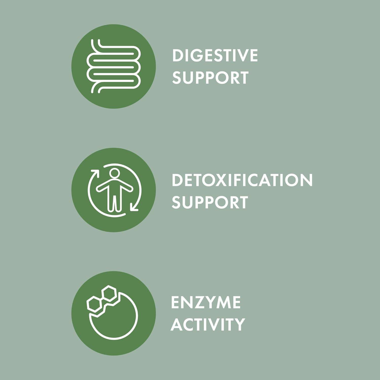 Dr. Mercola Fermented Mushroom Blend - 2.11 Ounces