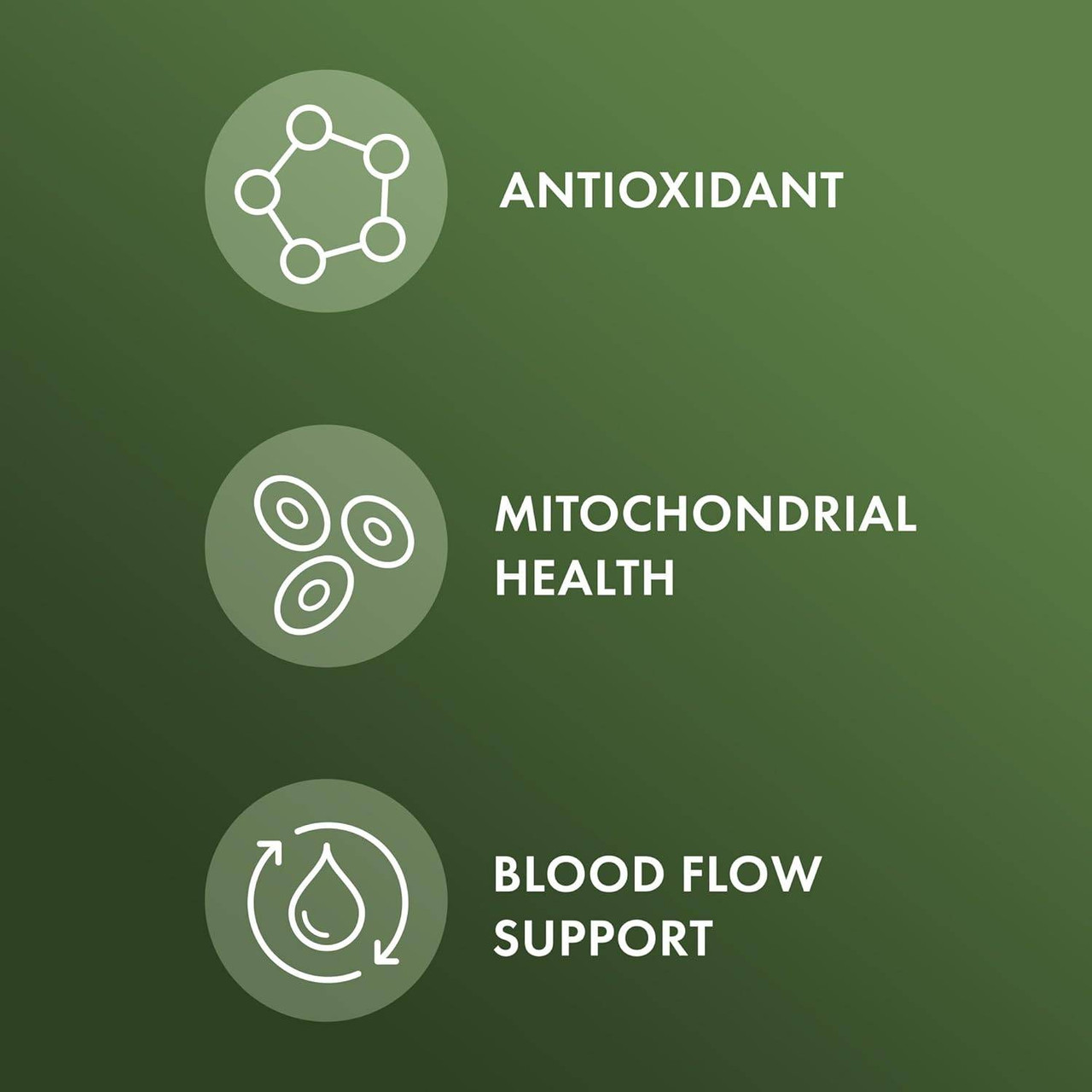 Dr. Mercola Organic Pine Park Extract - 60 Tablets