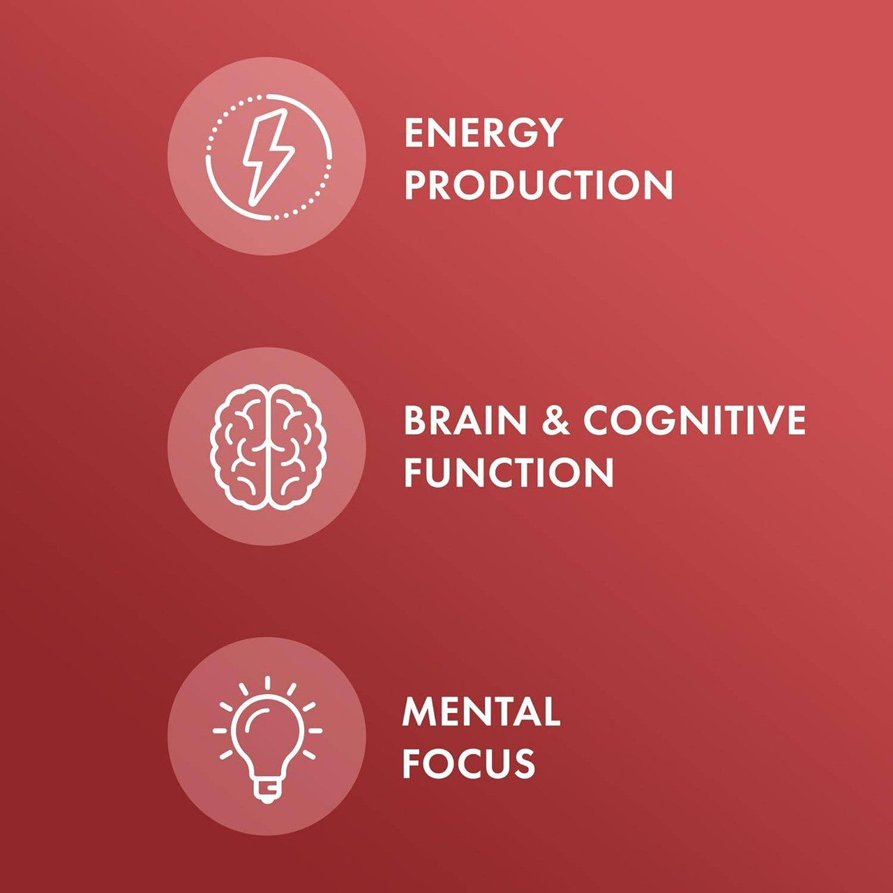 Dr. Mercola Vitamin B12 Chewable - 30 Chewables