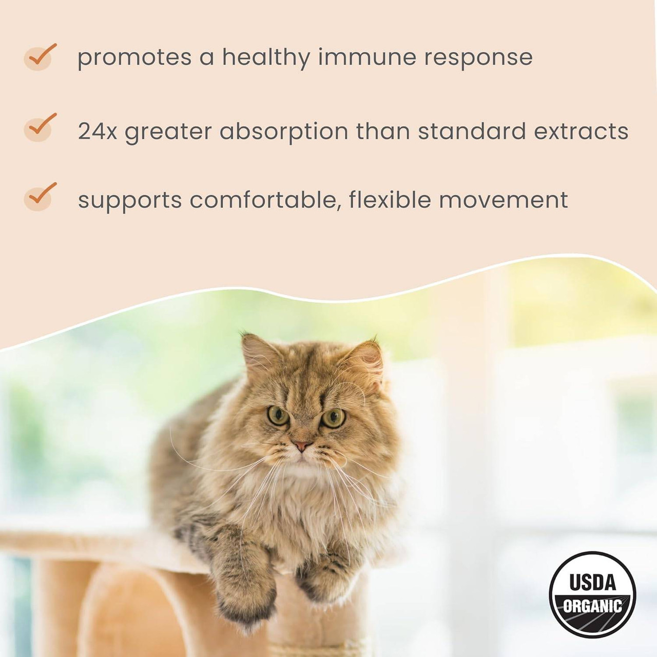 Dr. Mercola Organic Curcumin for Dogs & Cats - 75 Grams