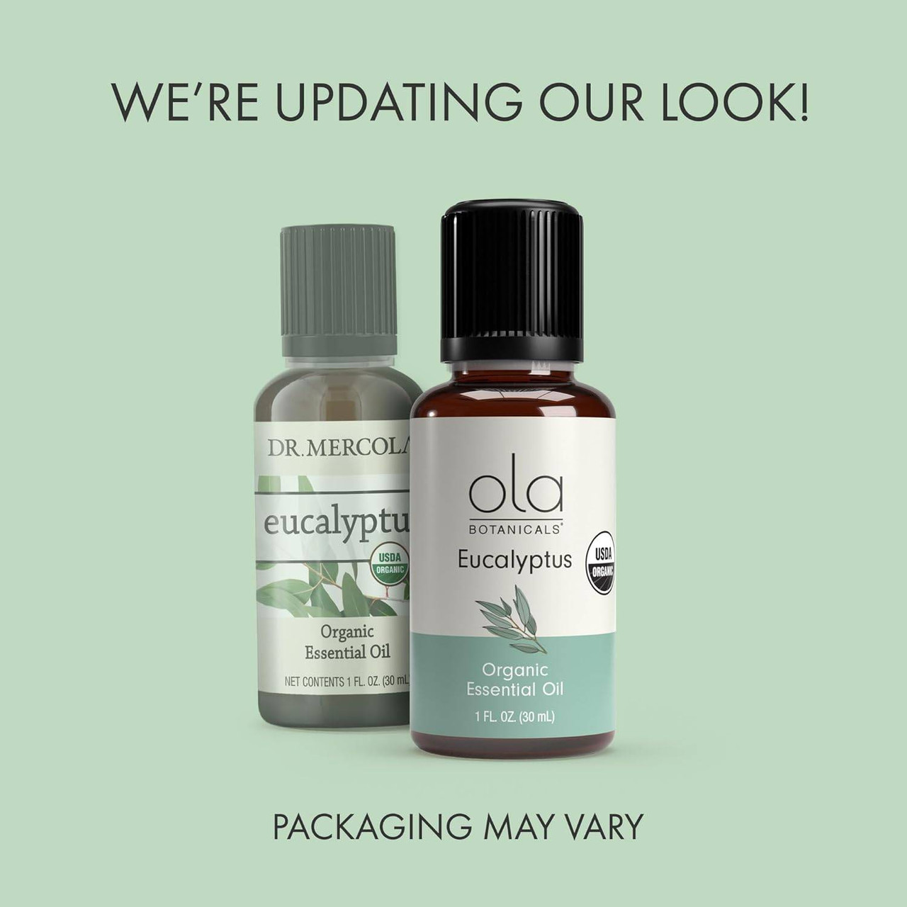 Dr. Mercola Organic Eucalyptus Essential Oil - 30 Milliliters