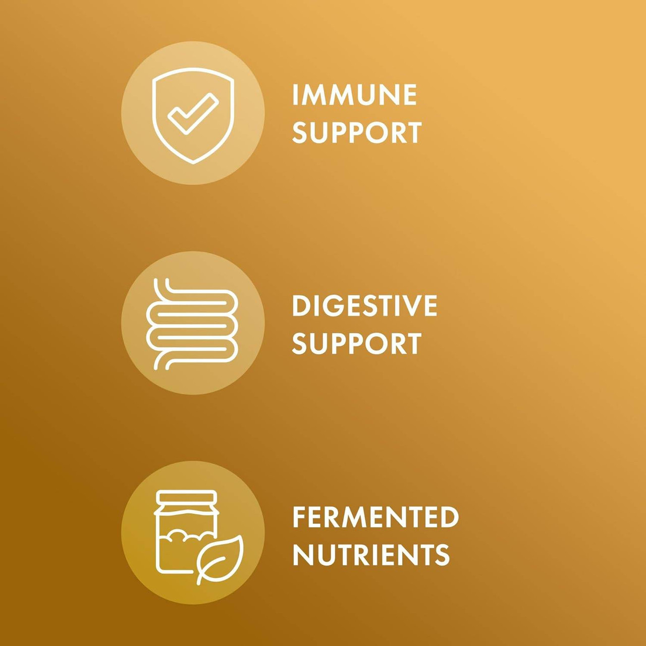 Dr. Mercola Fermented Ginger - 60 Capsules