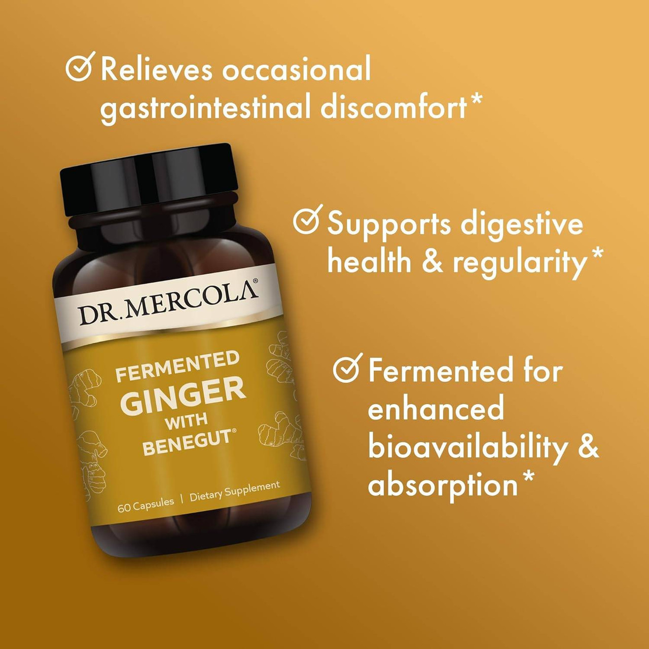 Dr. Mercola Fermented Ginger - 60 Capsules