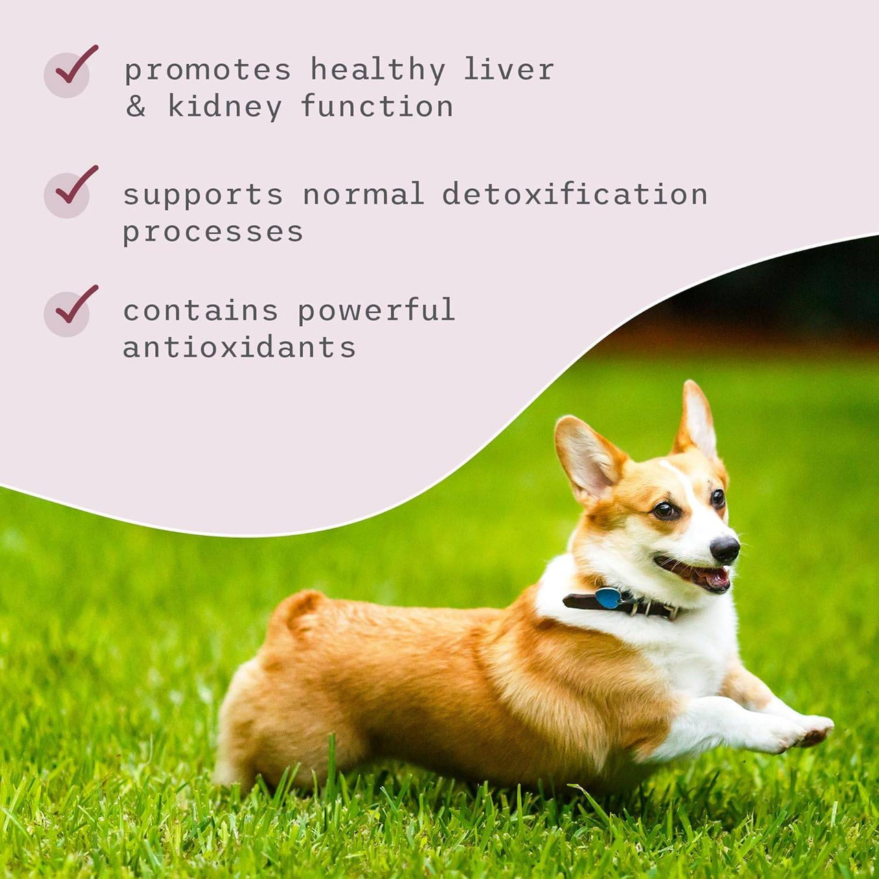 Dr. Mercola Bark & Whiskers Detox Support - 1.8 Ounces