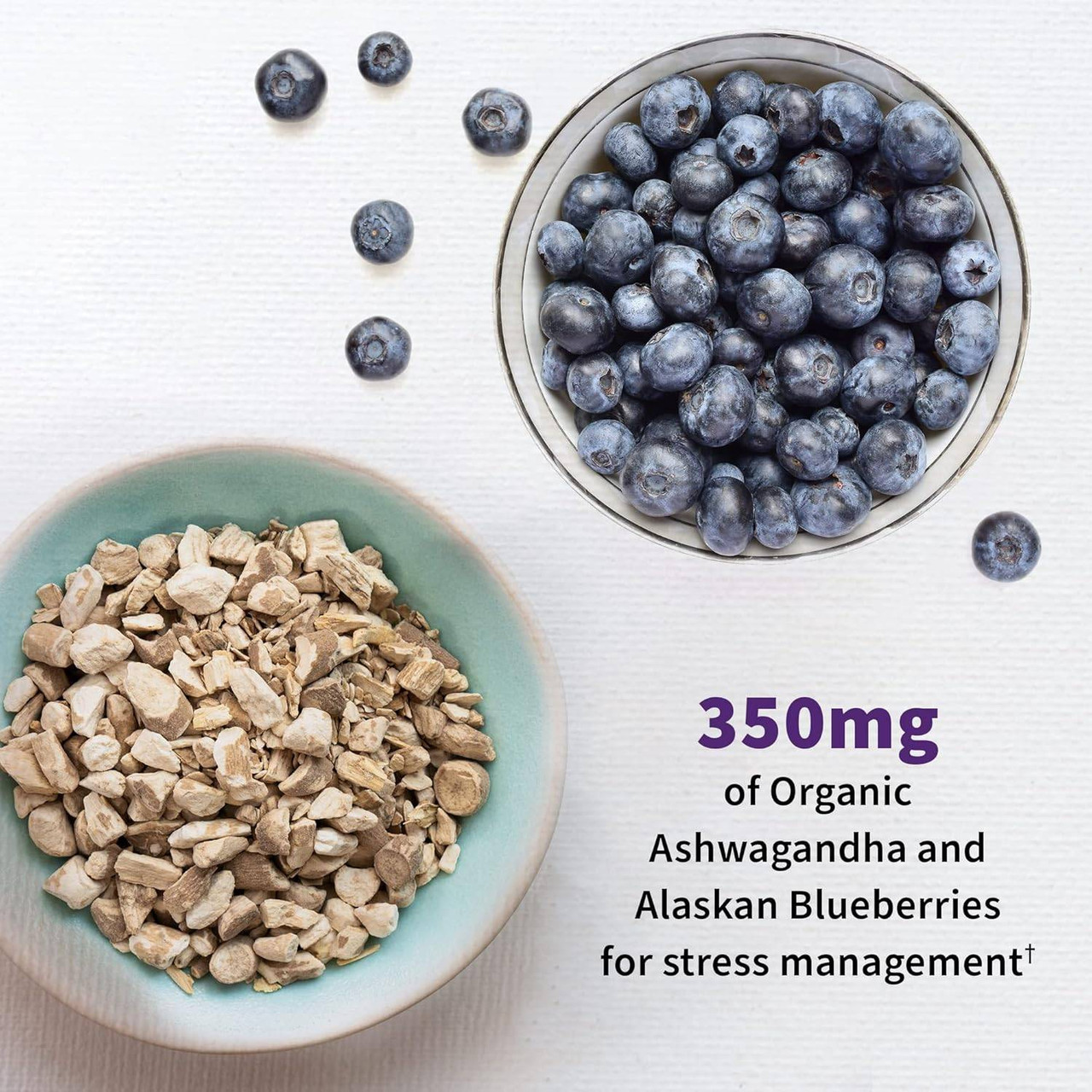 Ashwagandha root pieces and a bowl of blueberries, 350 mg organic ashwagandha and Alaskan blueberries