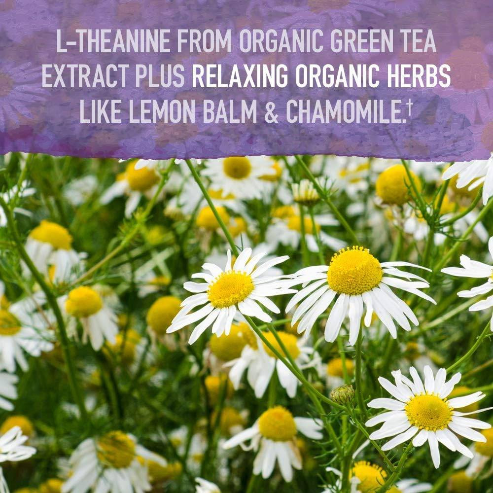 Chamomile flowers, L-theanine from organic green tea extract plus relaxing organic herbs graphic