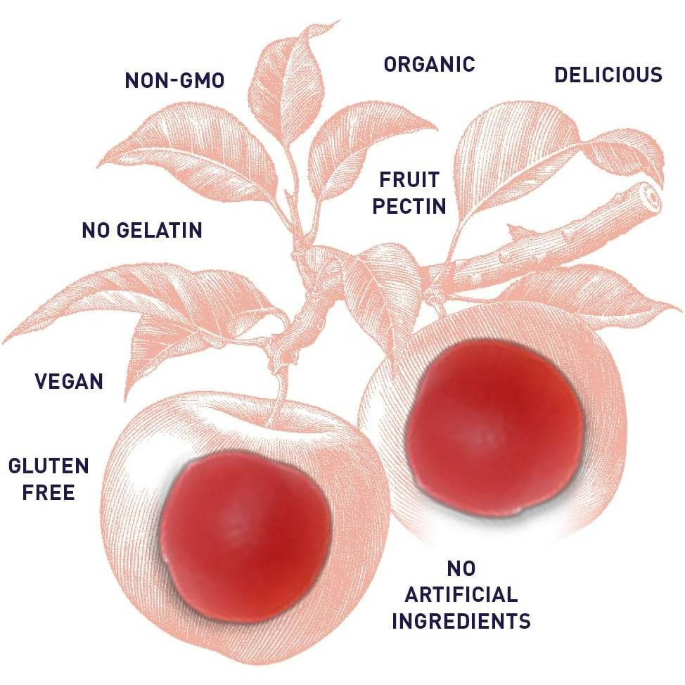 Garden of Life myKind Organics Apple Cider Vinegar Prob - 60 Gummies