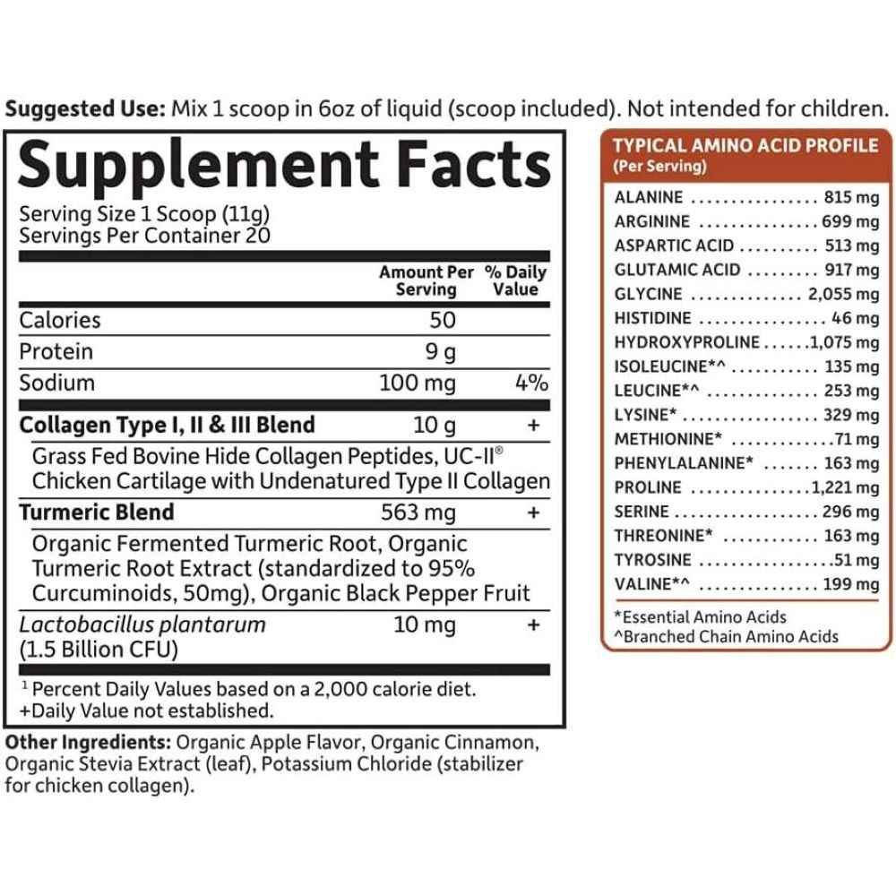 Garden of Life Multi Source Collagen Turmeric Apple Cin - 220 Grams