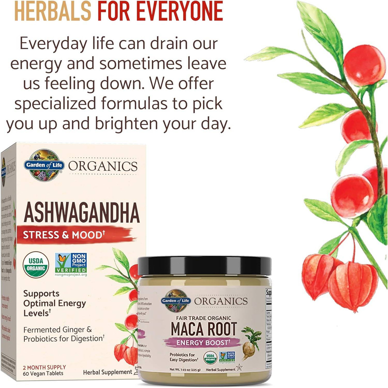 Herbals for everyone graphic with mykind Organics Ashwagandha and Maca Root