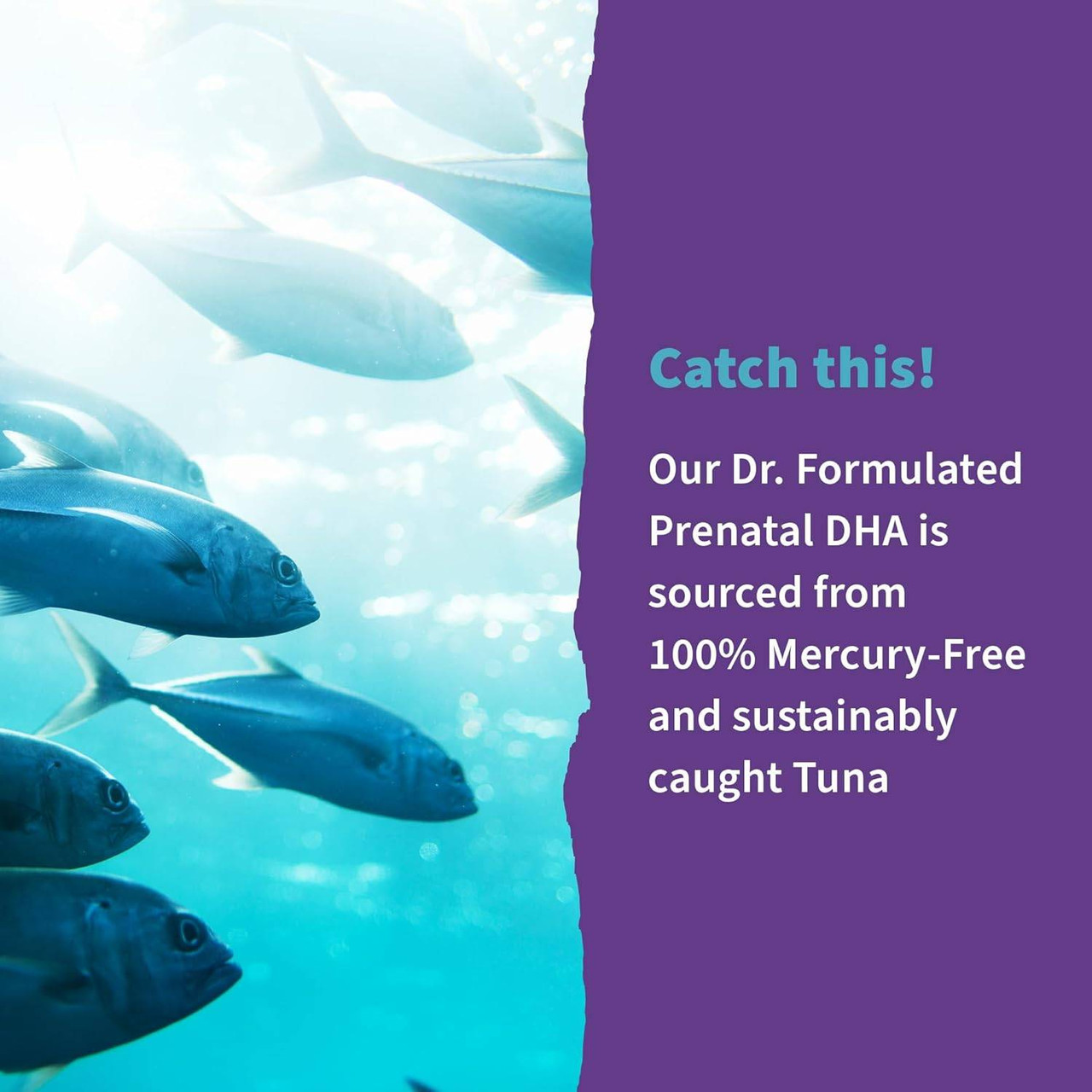 Garden of Life Dr. Formulated Prenatal DHA - 30 Softgels