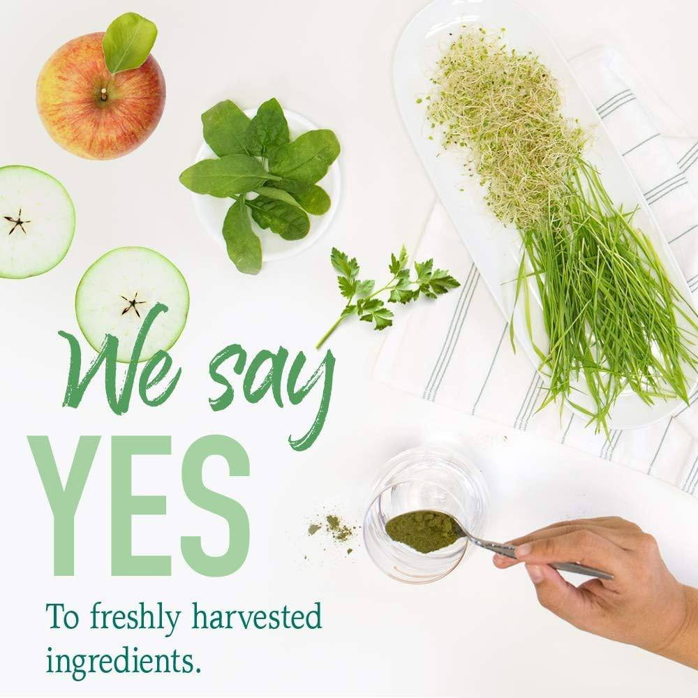 Fresh herbs and apple with green powder, we say yes to freshly harvested ingredients