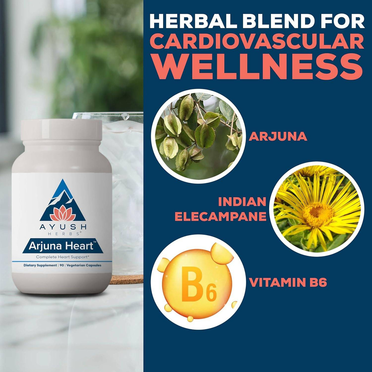 Arjuna Heart bottle with arjuna, Indian elecampane and vitamin B6 ingredient graphic
