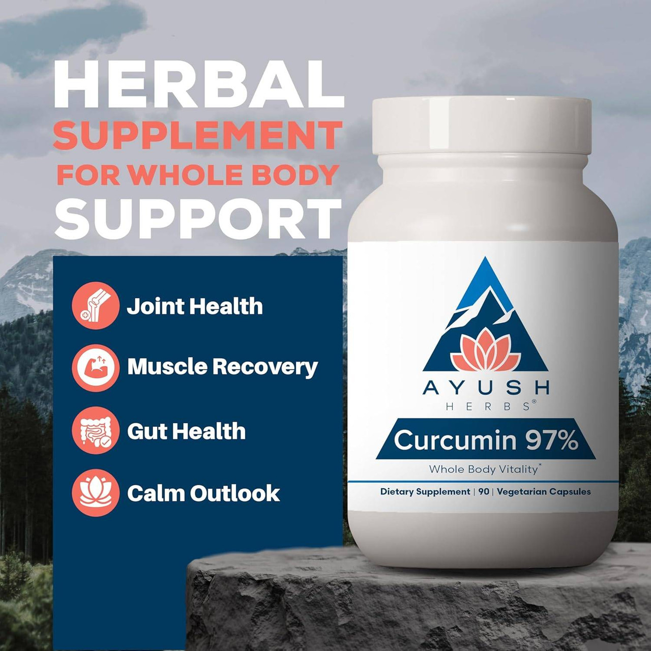 Ayush Herbs Curcumin 97 - 90 Capsules