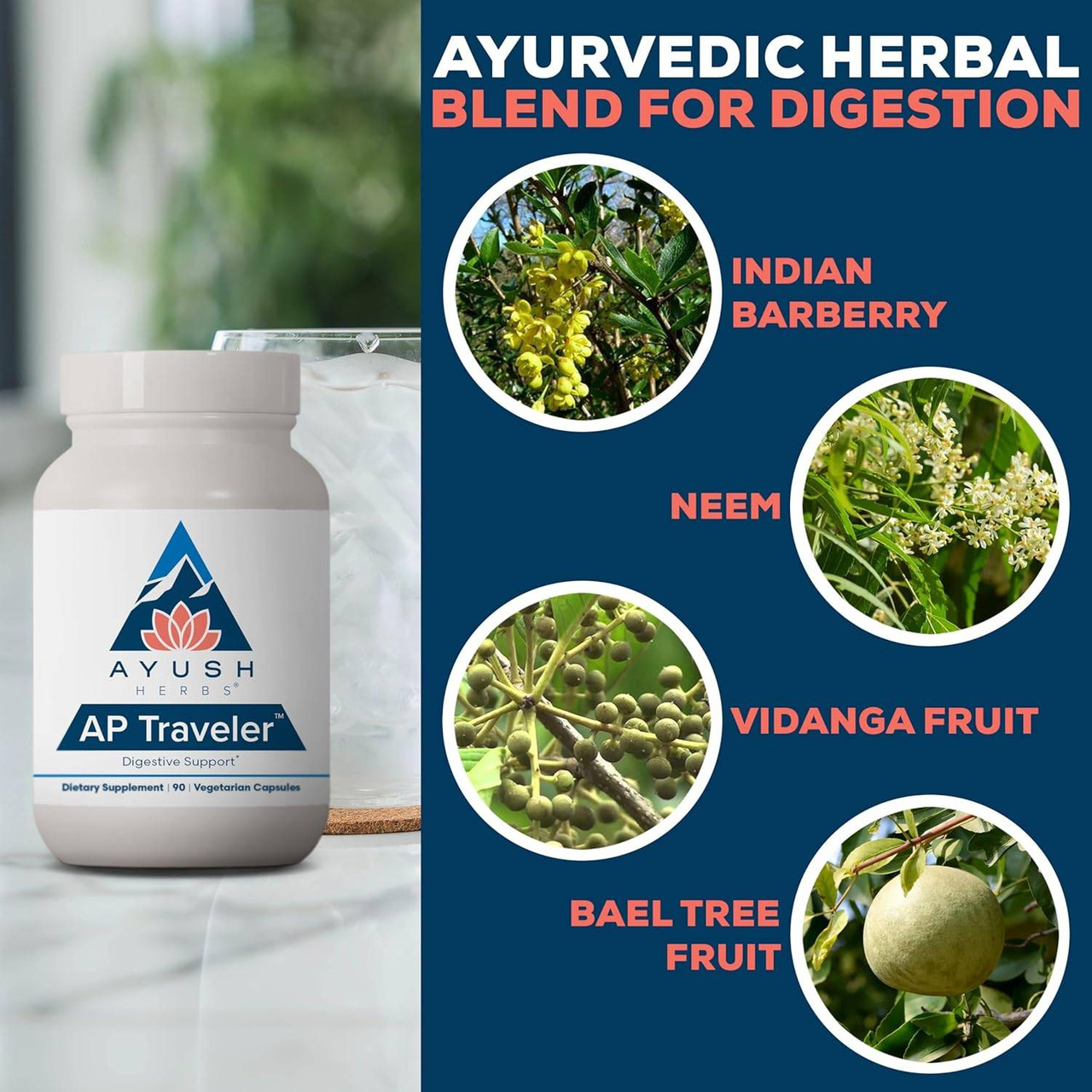 Ayush Herbs AP Traveler - 90 Capsules
